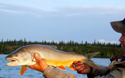 Рыболовные туры по Канаде и Америке