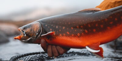 Легендарные места рыбалки Канады