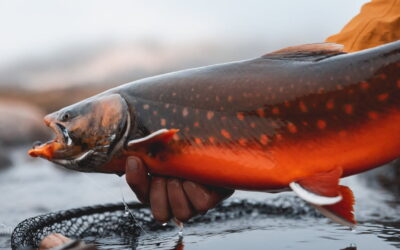 Легендарные места рыбалки Канады